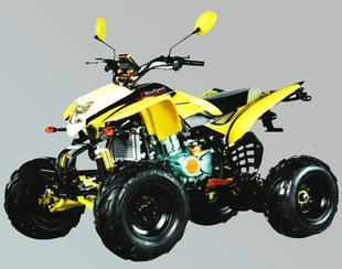 é a Nova ZL-ATV200S-7 motocross ATV veículos todo - Terreno.