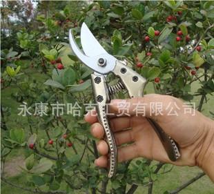 New garden scissors shears pruning shears and rough fruit picking scissors scissors hedgerow pruner