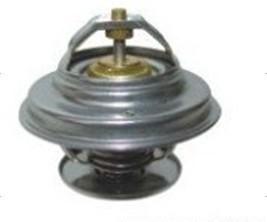 Benz thermostat