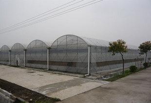 Agricultural greenhouse plastic film PVC agricultural film TPU agricultural film, high quality and low price