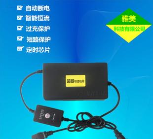 Timing automatic power-off electric car battery charger 48V12AH20an timer charger wholesale